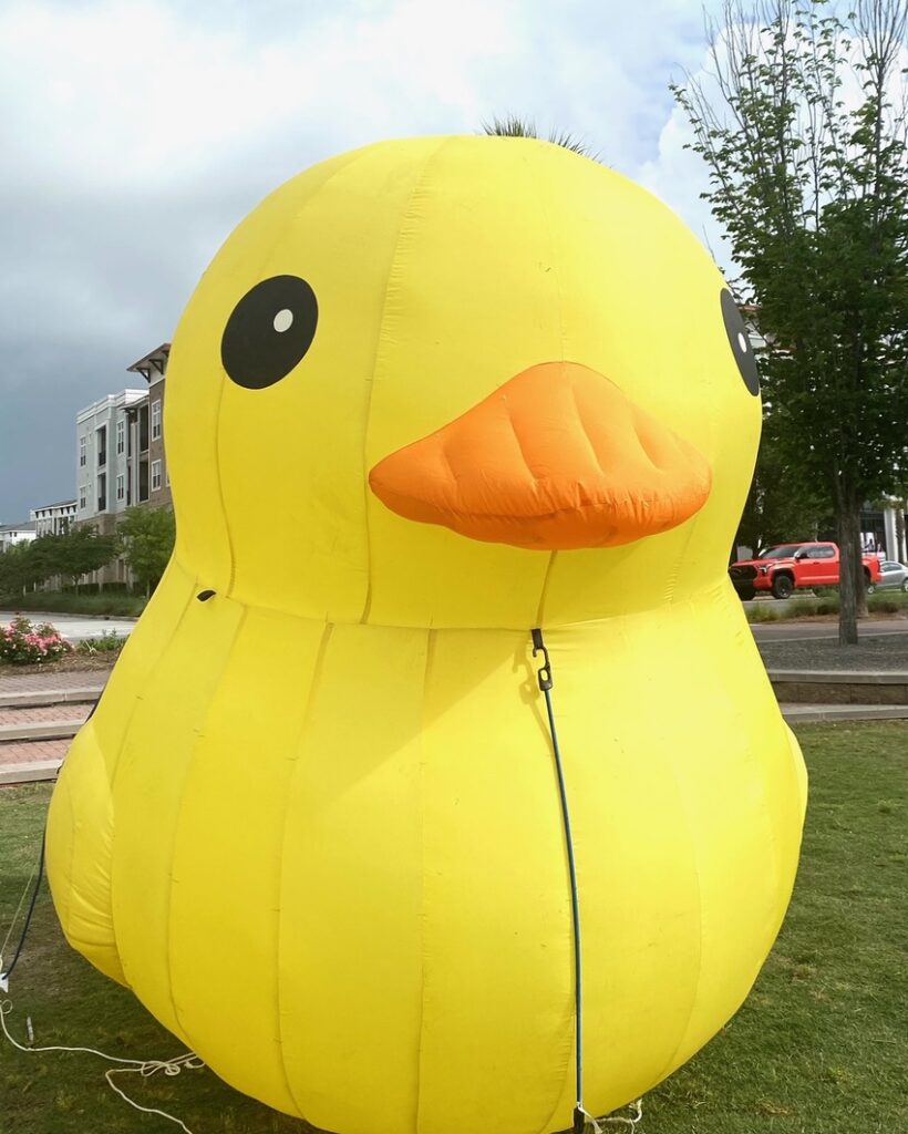 A giant inflatable rubber duck on the lawn at the Charleston Charity Duck Race